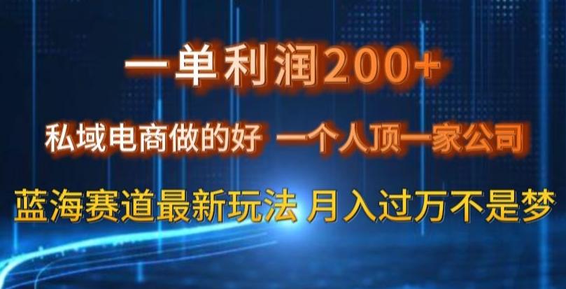 一单利润200私域电商做的好,一个人顶一家公司蓝海赛道最新玩法【揭秘】-千优网创