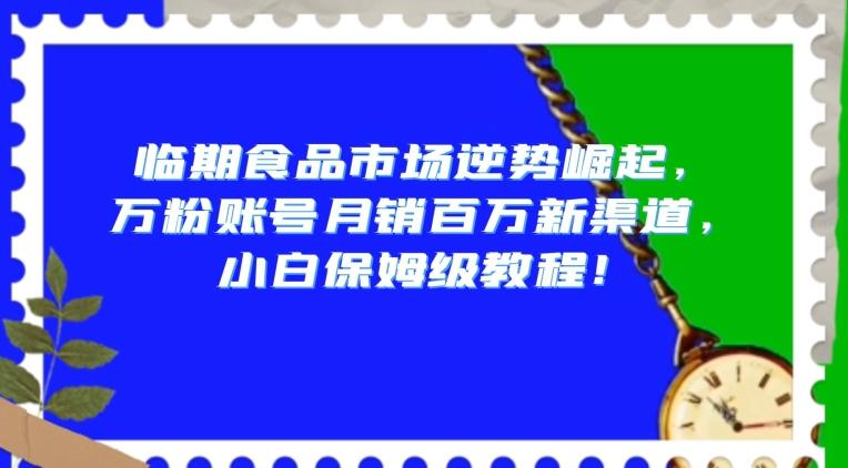 临期食品市场逆势崛起,万粉账号月销百万新渠道,小白保姆级教程【揭秘】-千优网创