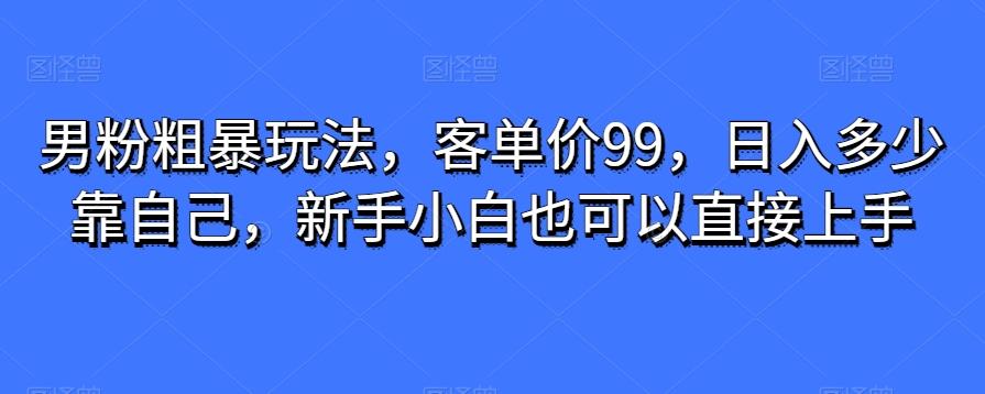 男粉粗暴玩法，客单价99，日入多少靠自己，新手小白也可以直接上手-千优网创