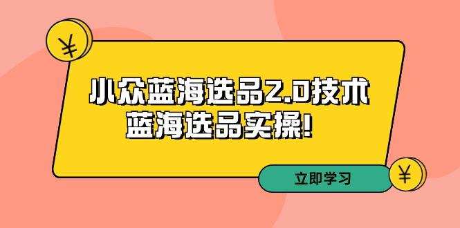 拼多多培训第33期：小众蓝海选品2.0技术-蓝海选品实操！-千优网创