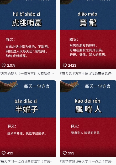 抖音最新涨粉玩法,图文方言暴力涨粉实操,126作品涨粉11W-千优网创