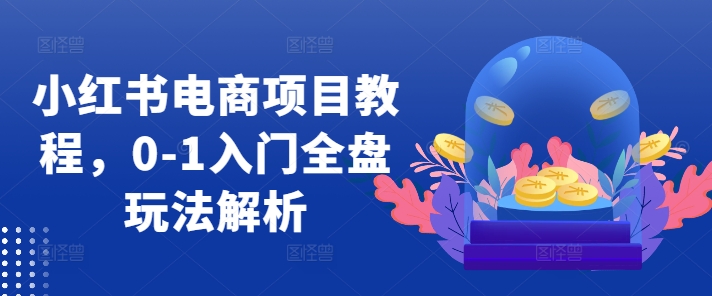 小红书电商项目教程，0-1入门全盘玩法解析-千优网创
