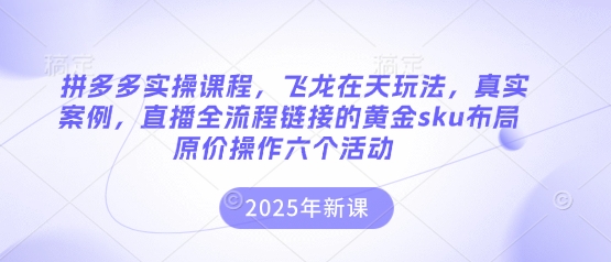 拼多多实操课程，飞龙在天玩法，真实案例，直播全流程链接的黄金sku布局原价操作六个活动-千优网创