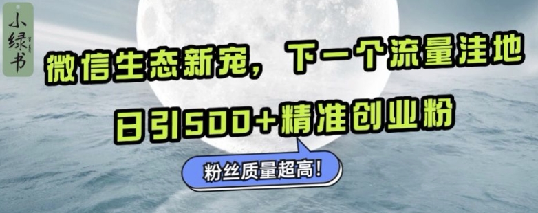 微信生态新宠小绿书:下一个流量洼地,日引500+精准创业粉,粉丝质量超高-千优网创