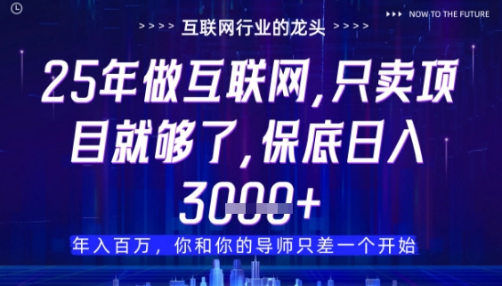 什么！25年你还在找项目做？风口早就变了，卖项目才是稳挣不赔【揭秘】-千优网创