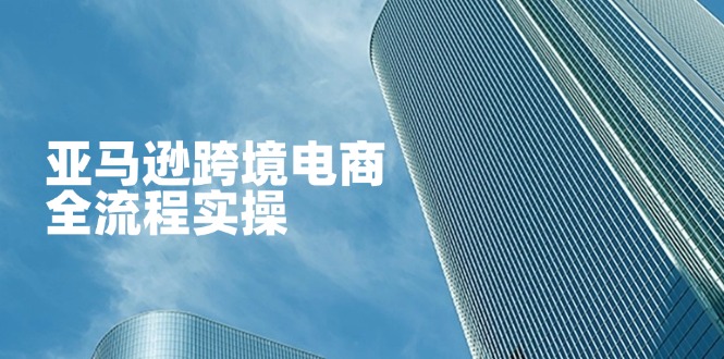 (14252期)亚马逊跨境电商全流程实操,教你从零开始,掌握店铺运营与广告技巧-千优网创