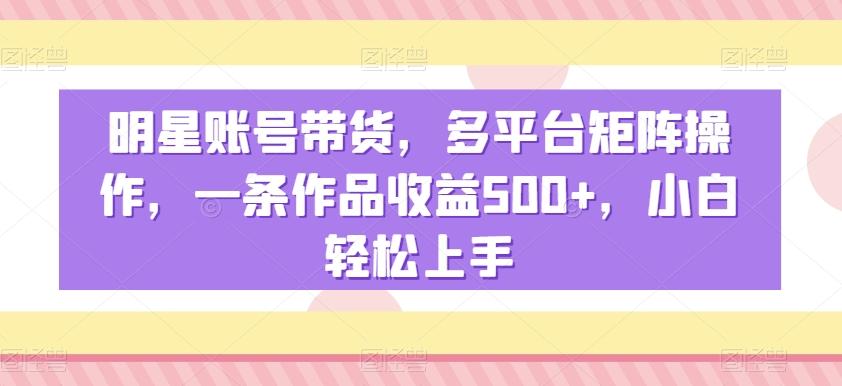 明星账号带货，多平台矩阵操作，一条作品收益500+，小白轻松上手【揭秘】-千优网创
