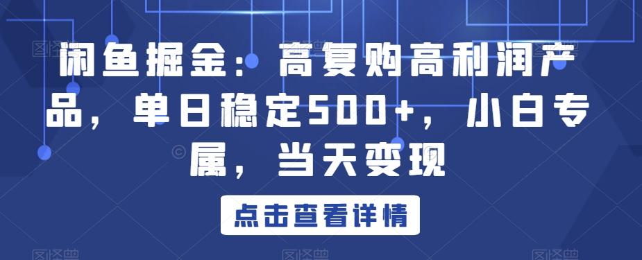 闲鱼掘金：高复购高利润产品，单日稳定500+，小白专属，当天变现-千优网创