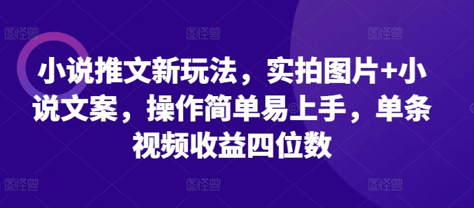 小说推文新玩法,实拍图片+小说文案,操作简单易上手,单条视频收益四位数-千优网创