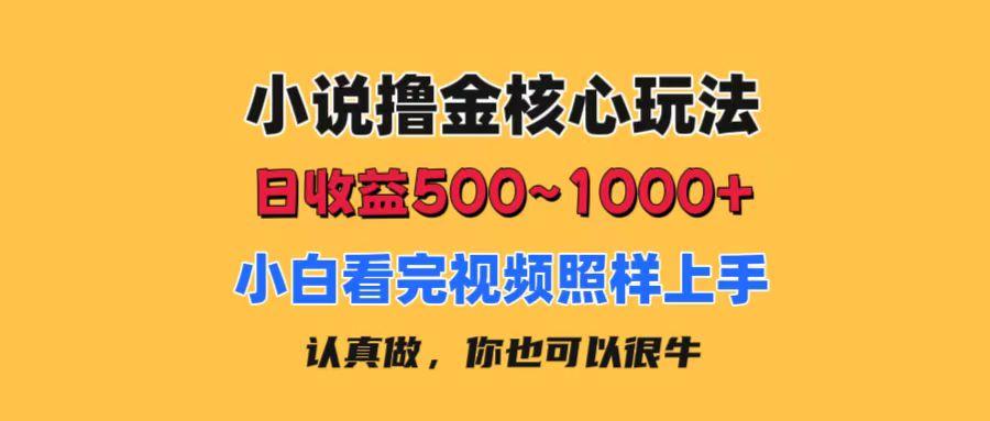 小说撸金核心玩法，日收益500-1000+，小白看完照样上手，0成本有手就行-千优网创