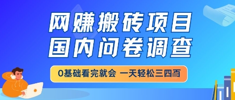 网创搬砖项目，国内问卷调查，小白轻松上手，一天三四张的也不难，干就完了【揭秘】-千优网创