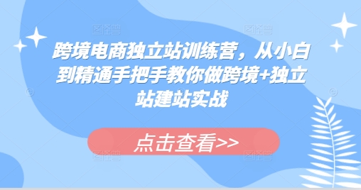 跨境电商独立站训练营，从小白到精通手把手教你做跨境+独立站建站实战-千优网创