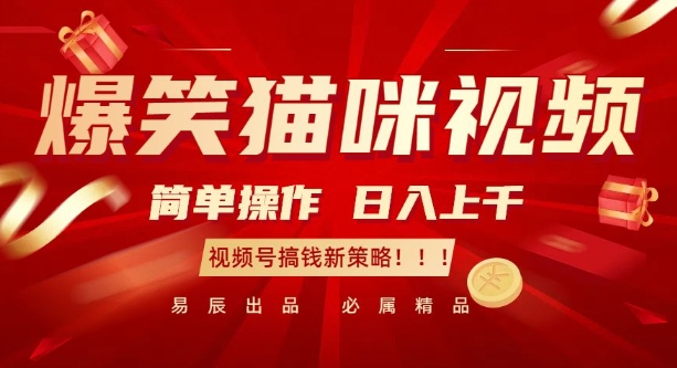 爆笑猫咪视频：简单操作，日入过K，视频号搞钱新策略【揭秘】-千优网创