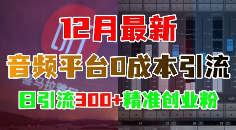 12月最新：音频平台0成本引流，日引流300+精准创业粉-千优网创