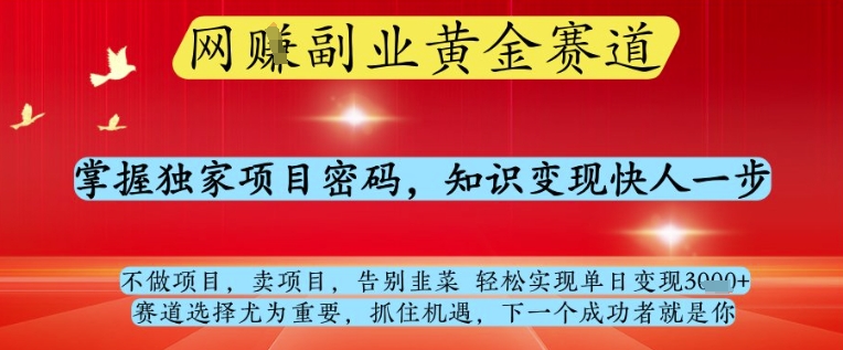 网创副业黄全赛道,掌握独家项目密码,知识变现快人一步,告别韭菜轻松实现单日变现1k+【揭秘】-千优网创