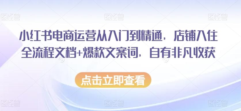 小红书电商运营从入门到精通，店铺入住全流程文档+爆款文案词，自有非凡收获-千优网创
