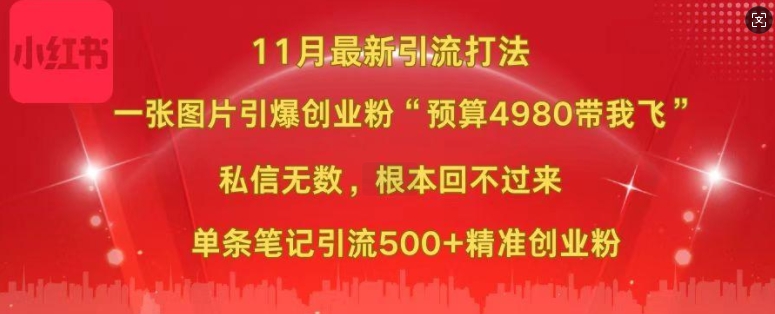 小红书11月最新图片打粉，一张图片引爆创业粉，“预算4980带我飞”，单条引流500+精准创业粉-千优网创