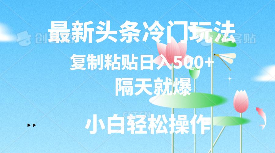 最新头条冷门玩法，隔天就爆，复制粘贴日入500+-千优网创