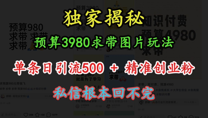预算3980求带 图片玩法，单条日引流500+精准创业粉，私信根本回不完-千优网创