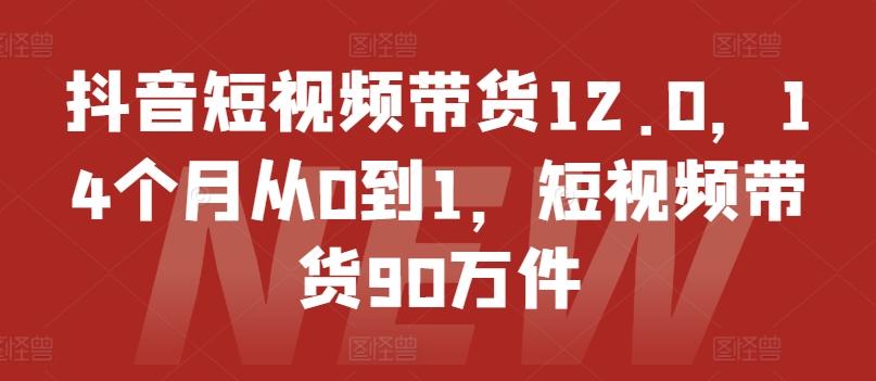 抖音短视频带货12.0,14个月从0到1,短视频带货90万件-千优网创