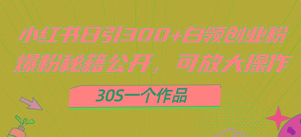小红书日引300+高质白领创业粉，可放大操作，爆粉秘籍！30s一个作品-千优网创