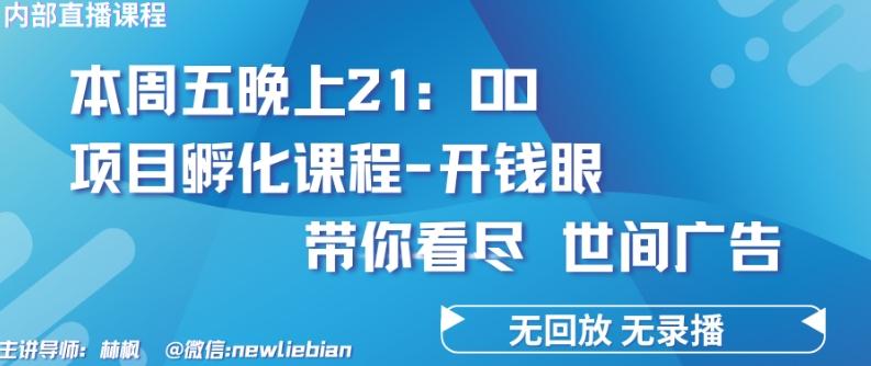 4.26日内部回放课程《项目孵化-开钱眼》赚钱的底层逻辑【揭秘】-千优网创