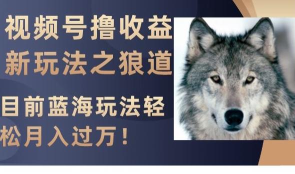 视频号撸收益新玩法之狼道，目前蓝海玩法，轻松月入过万【揭秘】-千优网创