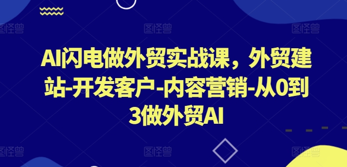 AI闪电做外贸实战课，​外贸建站-开发客户-内容营销-从0到3做外贸AI(更新)-千优网创