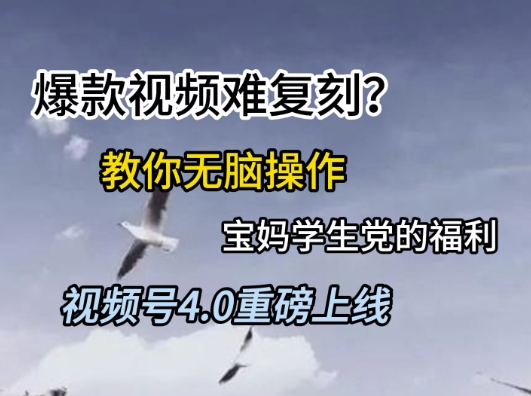 视频号4.0重磅上线，爆款视频难复刻？教你无脑操作宝妈学生党的福利【揭秘】-千优网创