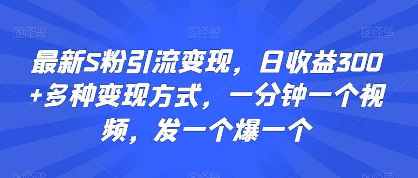 最新S粉引流变现，日收益300+多种变现方式，一分钟一个视频，发一个爆一个【揭秘】-千优网创