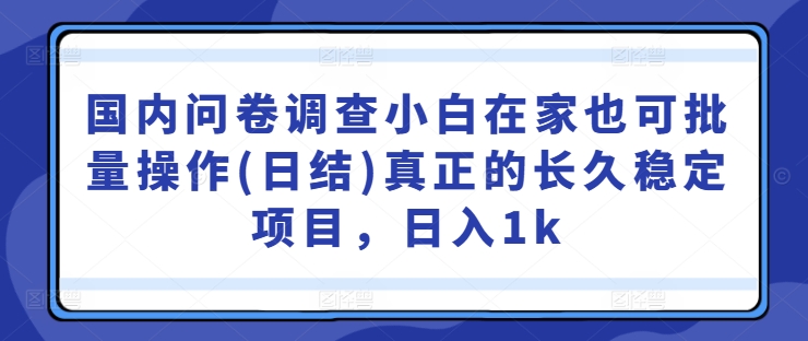 国内问卷调查小白在家也可批量操作(日结)真正的长久稳定项目，日入1k【揭秘】-千优网创