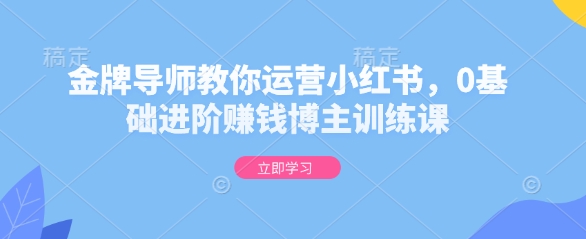 金牌导师教你运营小红书,0基础进阶赚钱博主训练课-千优网创