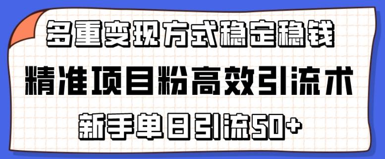 精准项目粉高效引流术，新手单日引流50+，多重变现方式稳定赚钱【揭秘】-千优网创