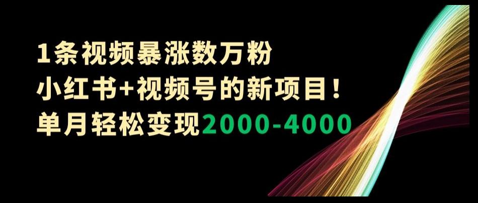 1条视频暴涨数万粉--小红书+视频号的新项目!单月轻松变现2000-4000【揭秘】-千优网创