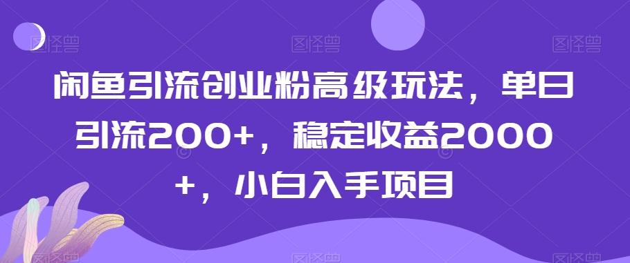 闲鱼引流创业粉高级玩法，单日引流200+，稳定收益2000+，小白入手项目-千优网创