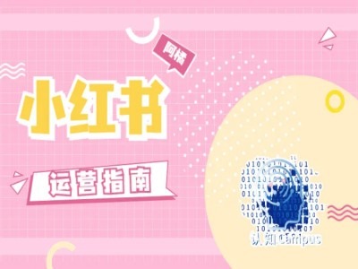小红书运营指南，没有套路，全是经验-千优网创