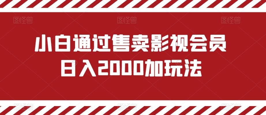 小白通过售卖影视会员日入2000加玩法-千优网创