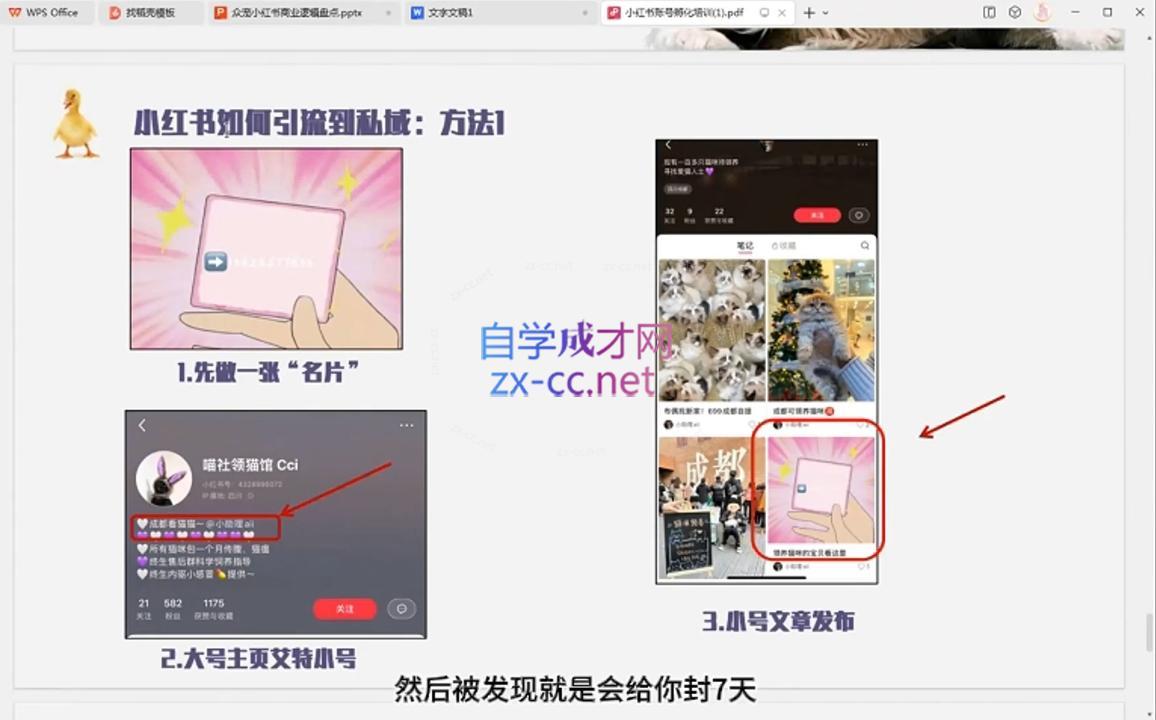 小马哥·全渠道运营增长课-千优网创