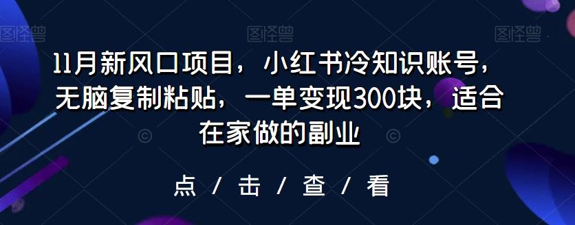 11月新风口项目，小红书冷知识账号，无脑复制粘贴，一单变现300块，适合在家做的副业-千优网创