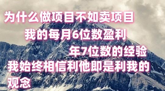 做项目不如卖项目，每月6位数盈利，年7位数经验-千优网创