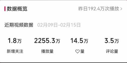 视频号最新100%原创玩法，收益稳定，单日收益1000+，小白专属-千优网创