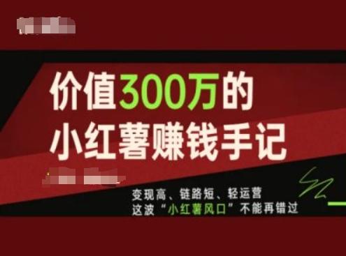 价值300万的小红书赚钱手记，变现高、链路短、轻运营，这波“小红薯风口”不能再错过-千优网创
