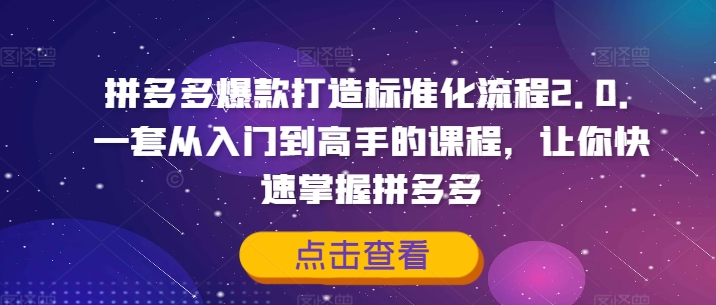 拼多多爆款打造标准化流程2.0,一套从入门到高手的课程,让你快速掌握拼多多-千优网创
