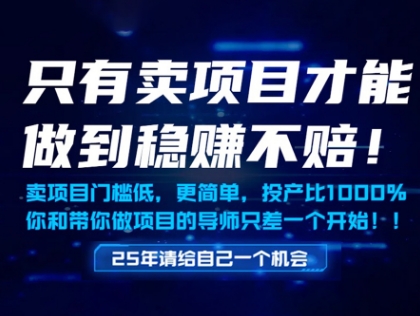 只有卖项目才能做到稳挣不赔，门槛低，更简单，你也可以年入百个W【揭秘】-千优网创