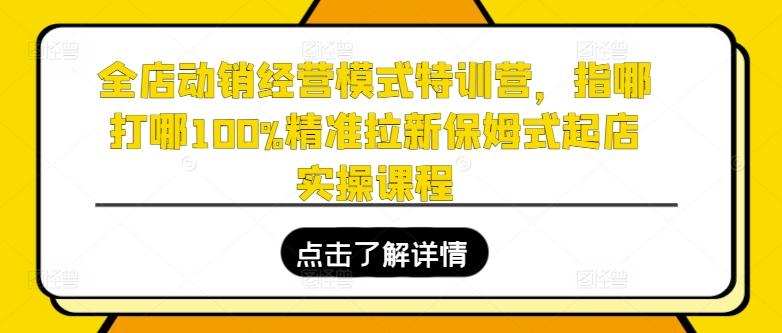 全店动销经营模式特训营,指哪打哪100%精准拉新保姆式起店实操课程-千优网创