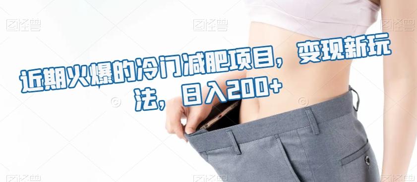 近期火爆的冷门减肥项目，变现新玩法，日入200+-千优网创