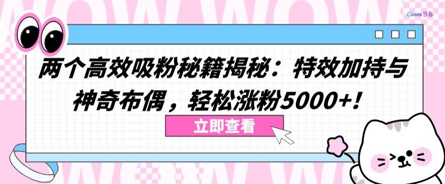 两个高效吸粉秘籍揭秘：特效加持与神奇布偶，轻松涨粉5000+【揭秘】-千优网创