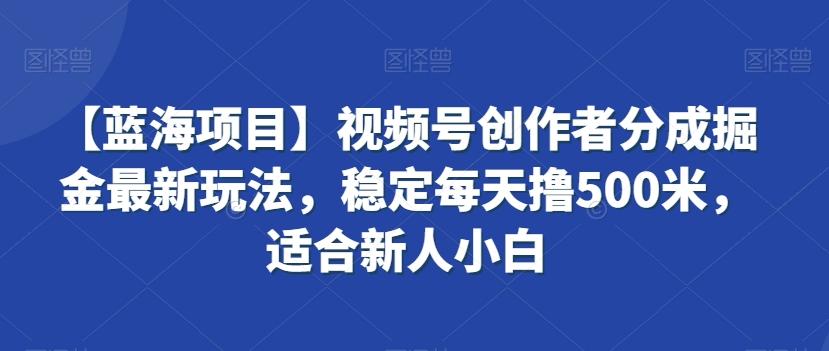 【蓝海项目】视频号创作者分成掘金最新玩法，稳定每天撸500米，适合新人小白【揭秘】-千优网创