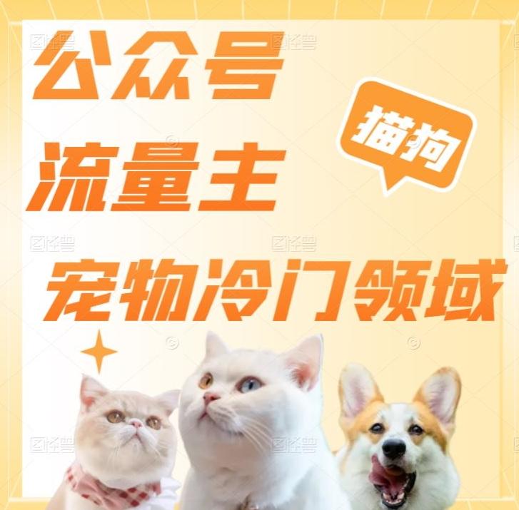 公众号流量主，萌宠冷门领域，单日收益2000+，简单暴力掘金，矩阵操作，无限放大收益！-千优网创