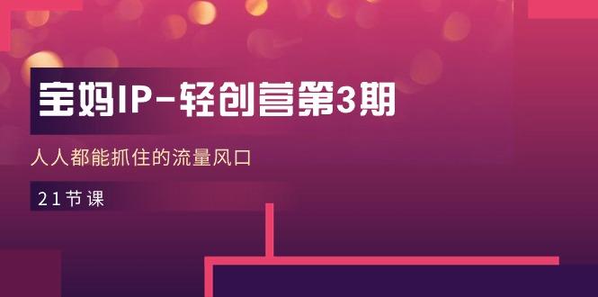 宝妈IP-轻创营第3期，人人都能抓住的流量风口(21节课-千优网创